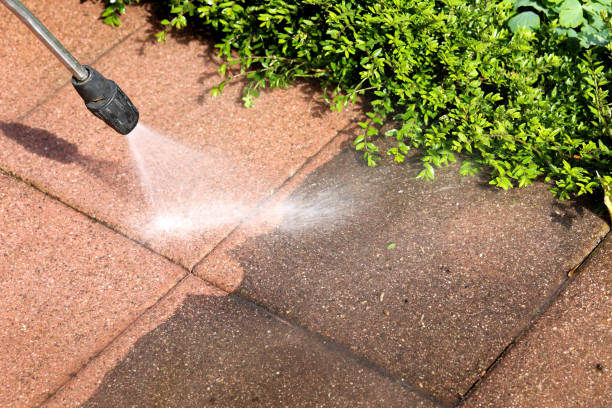 Best Concrete Pressure Washing  in Apopka, FL
